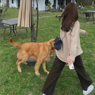 往十里